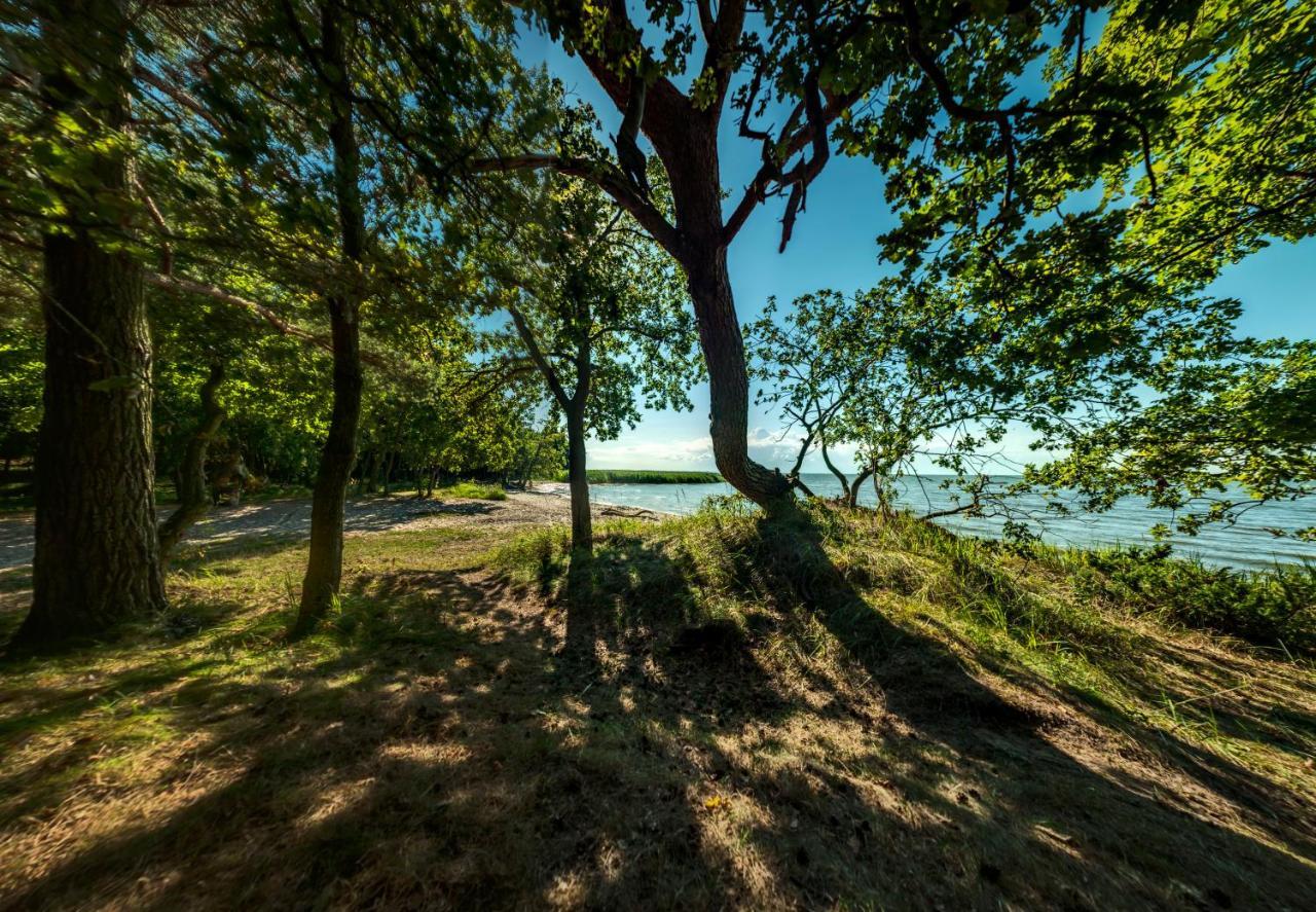 Traumhaff Historischer Kahnschifferhof Mit Kamin, Liebevoll Restauriert Vogelsang-Warsin Exteriér fotografie